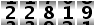 22819